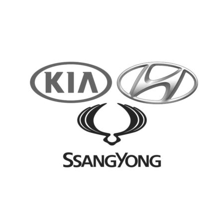 Korea 450x450 - Kia/Hyundai Petrol CAN